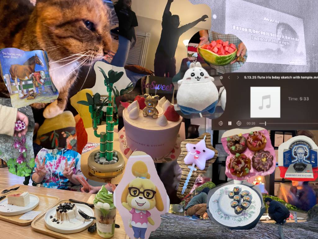 bday collage